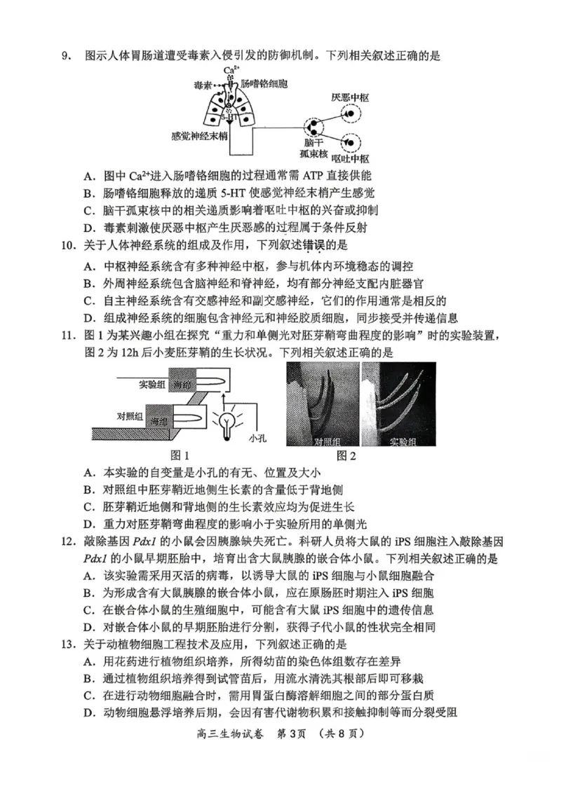 《生物试题+答案苏锡常镇四市2026届高三下学期5月教学情况调研（二）_2024-2027高三（6-6月题库）_2026年05月高三试卷_260507苏锡常镇四市2026届高三下学期5月教学情况调研（二）（全科）》第3页预览