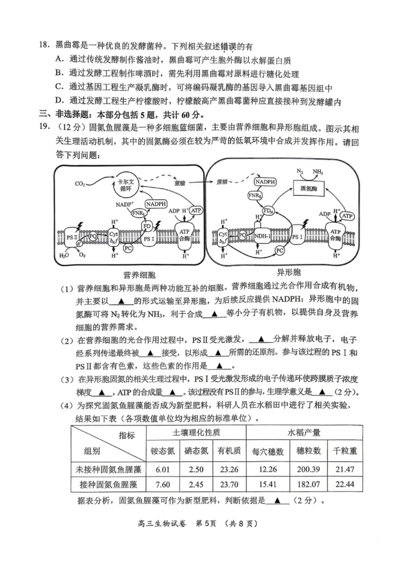 《生物试题+答案苏锡常镇四市2026届高三下学期5月教学情况调研（二）_2024-2027高三（6-6月题库）_2026年05月高三试卷_260507苏锡常镇四市2026届高三下学期5月教学情况调研（二）（全科）》第5页预览