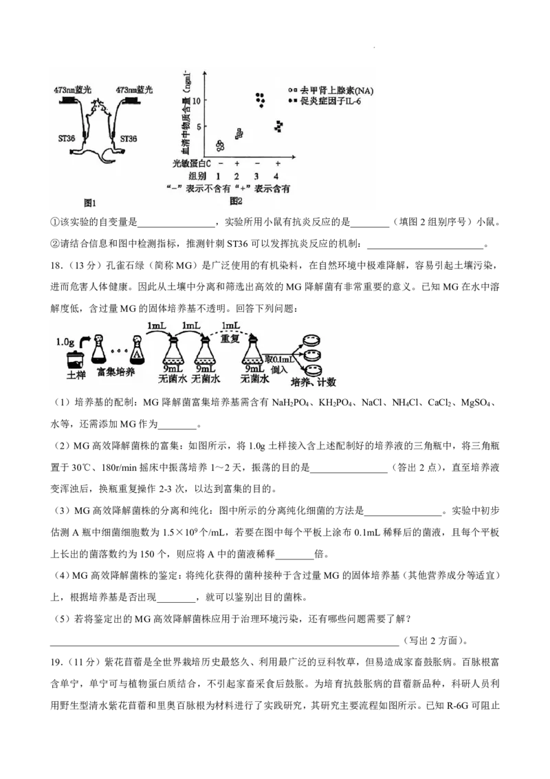 《生物-广西南宁市南宁三中2025-2026学年度下学期高二月考(一)_2024-2027高二（7-7月题库）_2026年04月高二试卷_260407广西南宁市南宁三中2025-2026学年度下学期高二月考(一)》第6页预览