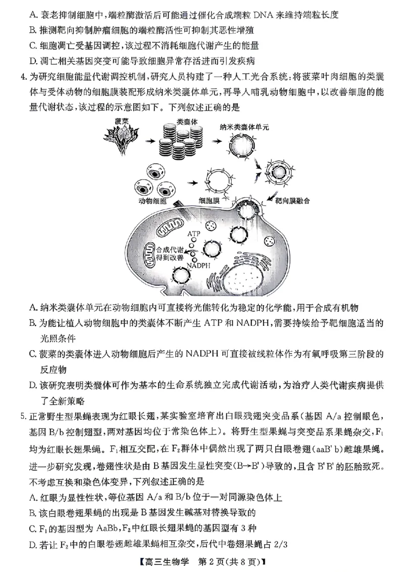 《省十联考最后一卷生物试卷_2024-2027高三（6-6月题库）_2026年05月高三试卷_260527安徽省省十联考2026届高三最后一卷（全科）》第2页预览