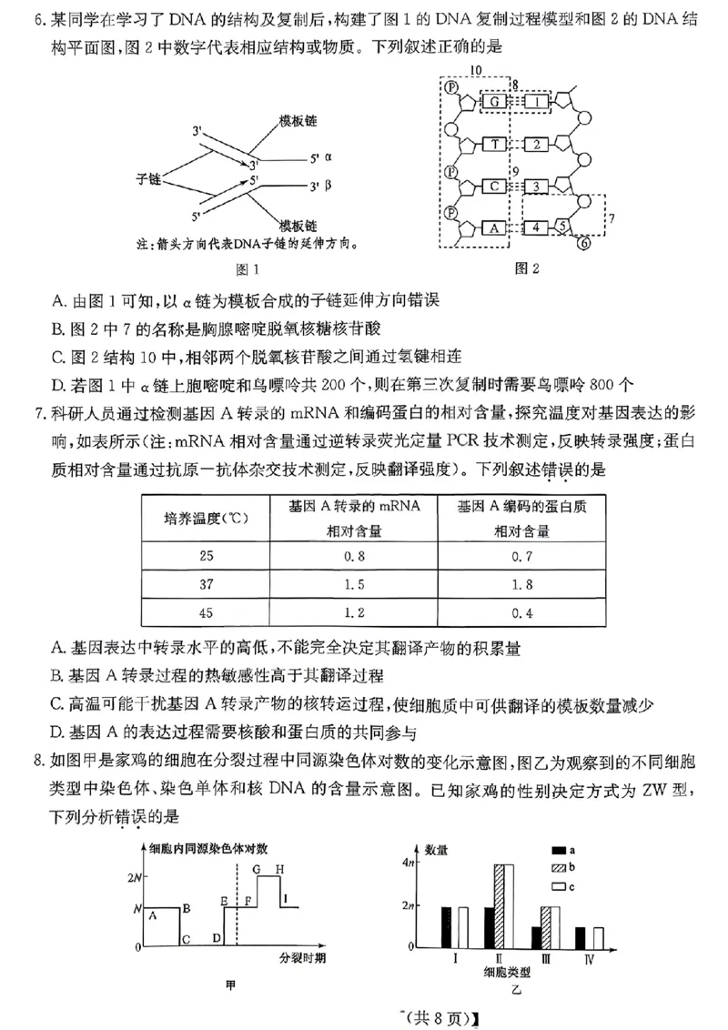 《省十联考最后一卷生物试卷_2024-2027高三（6-6月题库）_2026年05月高三试卷_260527安徽省省十联考2026届高三最后一卷（全科）》第3页预览