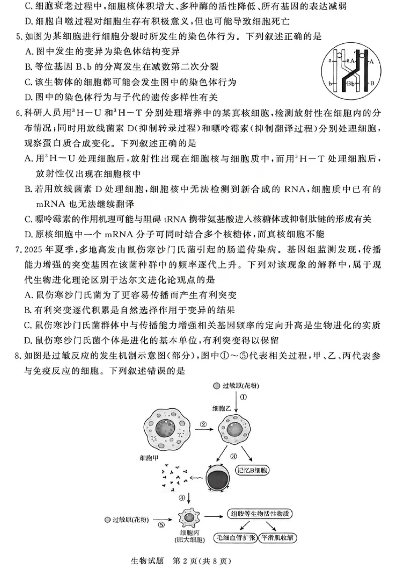 《生物试题-2026山西青桐鸣高三5月13-14联考_2024-2027高三（6-6月题库）_2026年05月高三试卷_2605152026届青桐鸣高三5月13-14大联考（全科）》第2页预览