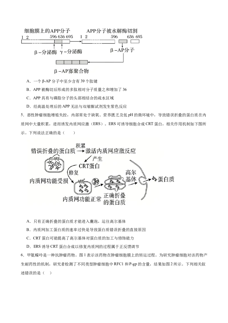 《湖南省长沙市第一中学2025-2026学年高二下学期6月期末考试生物试卷（含答案）_2024-2027高二（7-7月题库）_2026年06月高二试卷》第2页预览