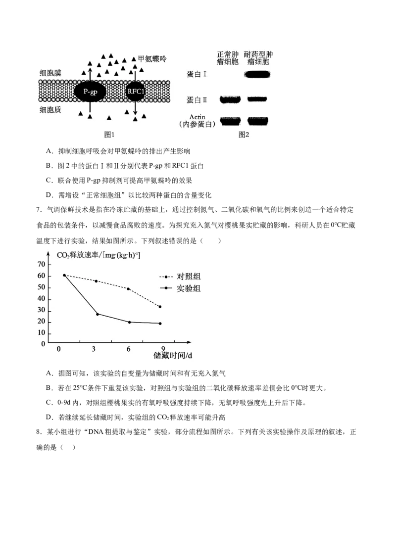 《湖南省长沙市第一中学2025-2026学年高二下学期6月期末考试生物试卷（含答案）_2024-2027高二（7-7月题库）_2026年06月高二试卷》第3页预览