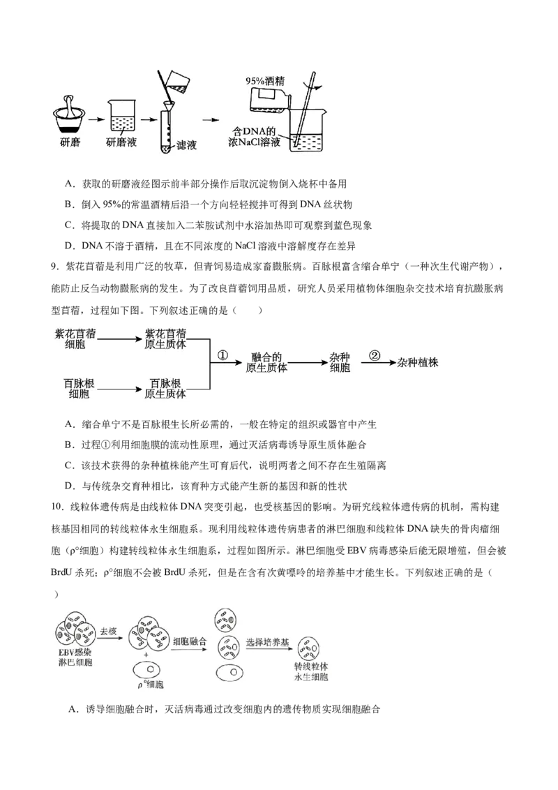 《湖南省长沙市第一中学2025-2026学年高二下学期6月期末考试生物试卷（含答案）_2024-2027高二（7-7月题库）_2026年06月高二试卷》第4页预览