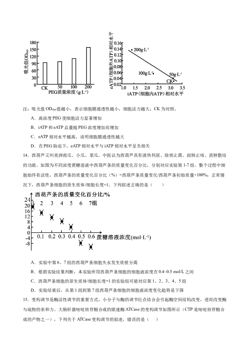 《湖南省长沙市第一中学2025-2026学年高二下学期6月期末考试生物试卷（含答案）_2024-2027高二（7-7月题库）_2026年06月高二试卷》第6页预览