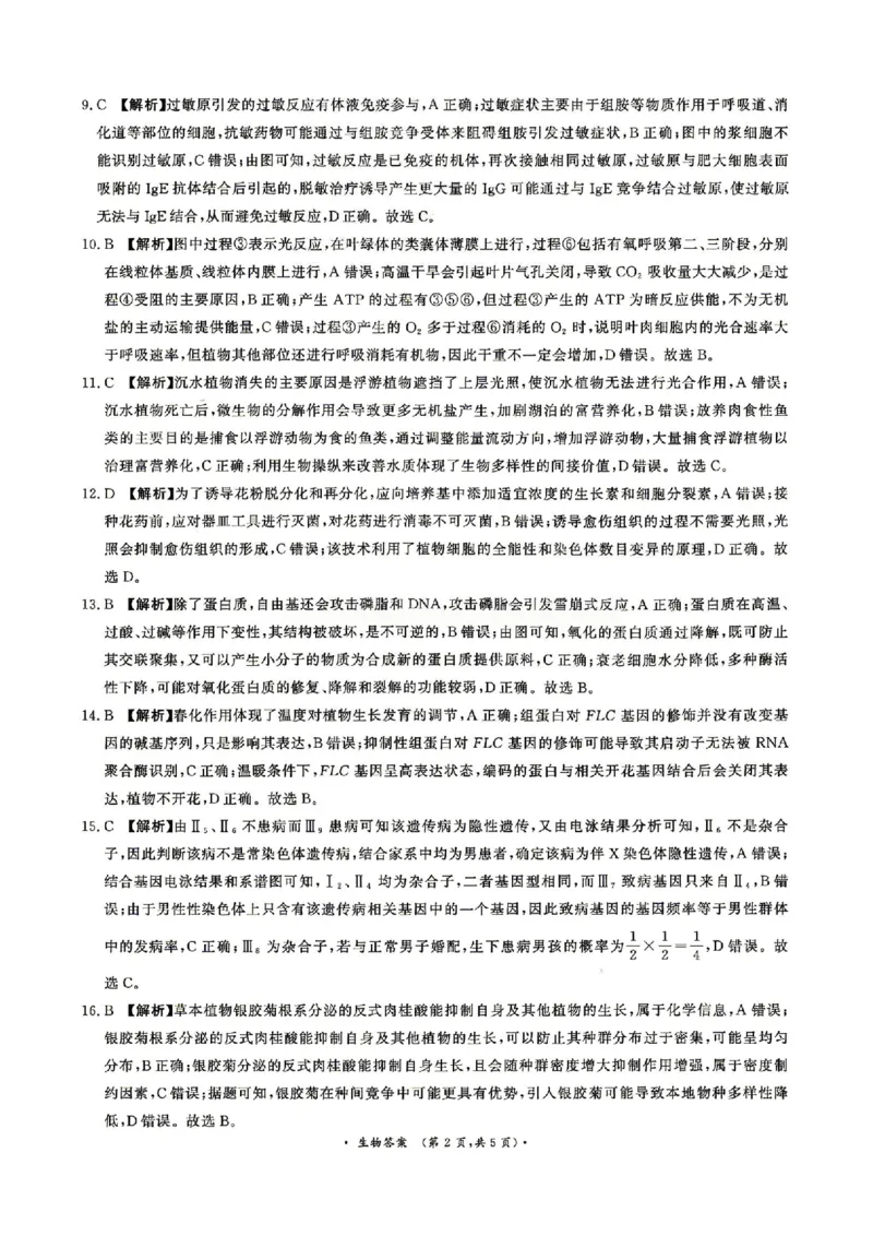 《生物答案_2024-2027高三（6-6月题库）_2026年05月高三试卷_260528河南2026届高三青桐鸣5月联考暨考前演练（全科）_河南2026届高三青桐鸣5月联考暨考前演练生物》第2页预览