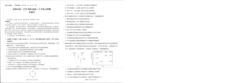 《生物试卷_2024-2027高三(6-6月题库)_2026年05月高三试卷_2605072026届云南省昆明市第一中学高三下学期4月复习诊断(全科)_云南昆明市第一中学等校2026届高三下学期4月复习诊断生物试题》第1页预览