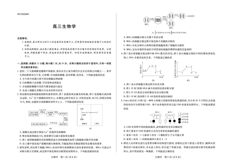 《生物学HUN高三素质评价_2024-2027高三（6-6月题库）_2026年05月高三试卷_260509湖南ty大联考暨湘西三模2026届高三下学期考前学情统一检测（全科）》第1页预览