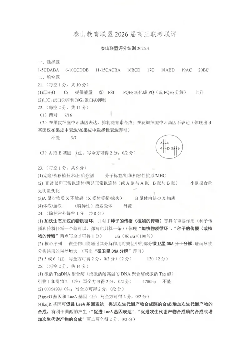 《生物答案_2024-2027高三（6-6月题库）_2026年05月高三试卷_260503山东省泰山教育联盟2026届高三年级4月考试模拟（全科）》第1页预览