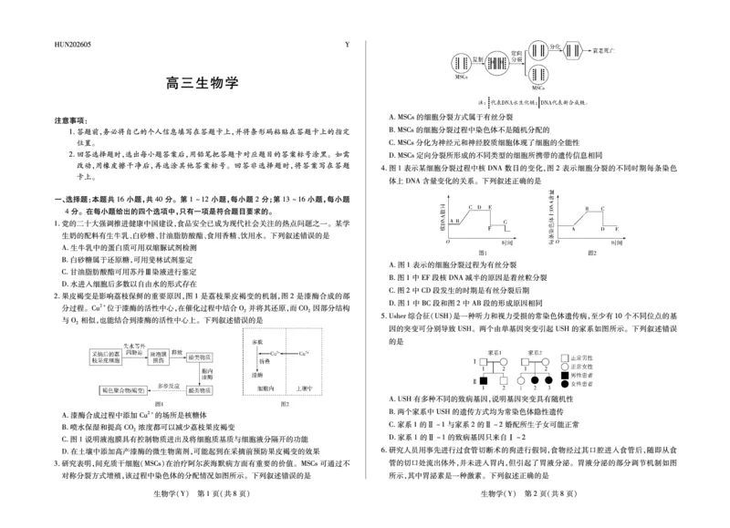 《生物学(Y)HUN高三素质评价_2024-2027高三（6-6月题库）_2026年05月高三试卷_260509湖南ty大联考暨湘西三模2026届高三下学期考前学情统一检测（全科）》第1页预览