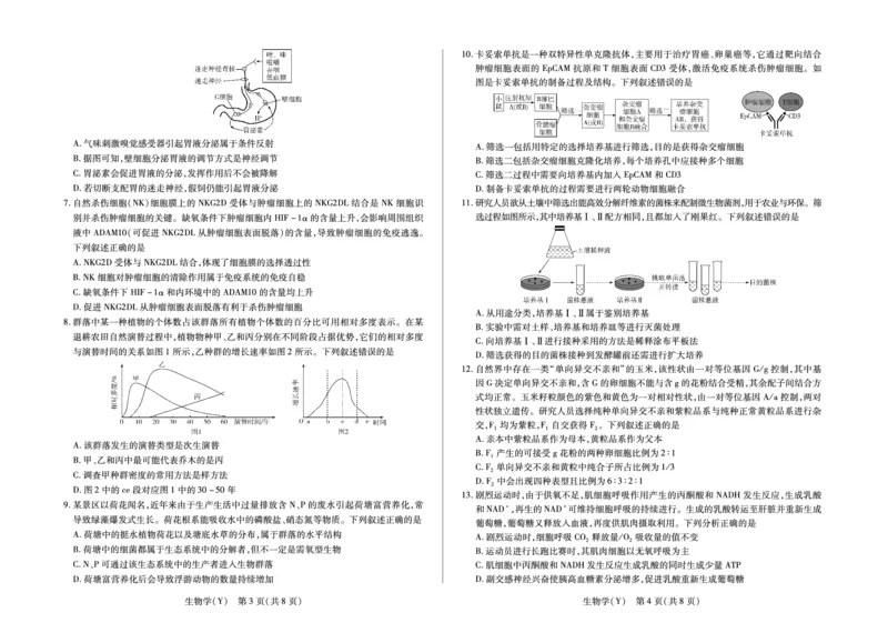《生物学(Y)HUN高三素质评价_2024-2027高三（6-6月题库）_2026年05月高三试卷_260509湖南ty大联考暨湘西三模2026届高三下学期考前学情统一检测（全科）》第2页预览