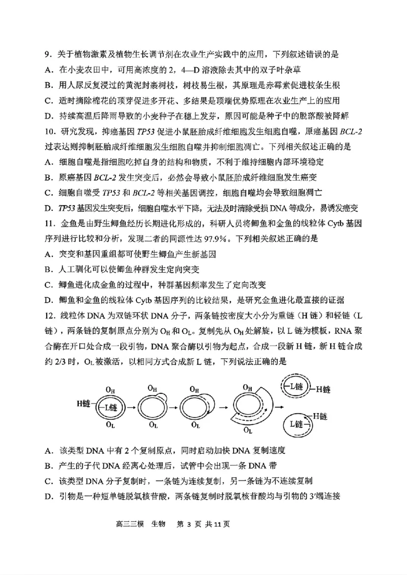 《生物2025-2026哈三中高三三模_2024-2027高三（6-6月题库）_2026年05月高三试卷_2605102026年黑龙江省哈尔滨市第三中学高三下学期第三次模拟（全科）》第3页预览