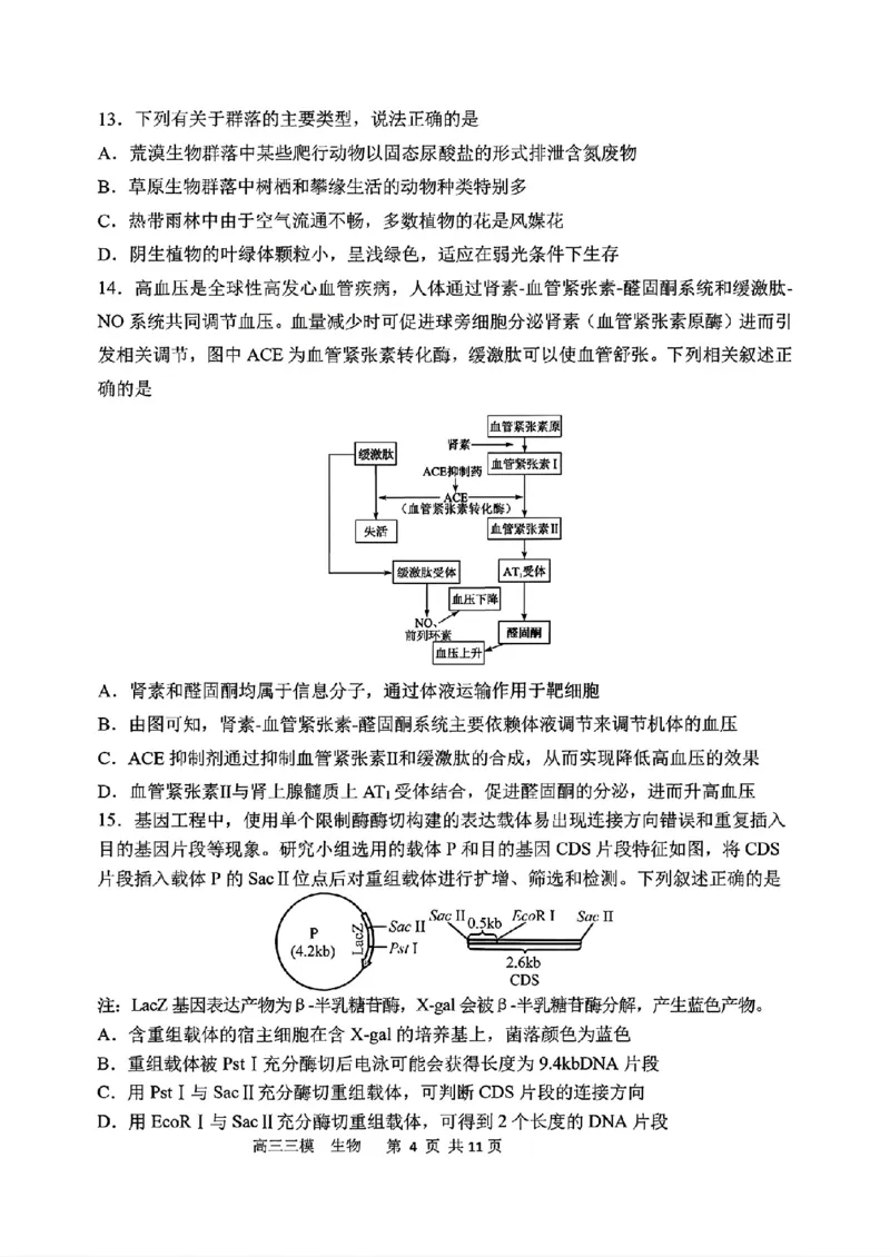 《生物2025-2026哈三中高三三模_2024-2027高三（6-6月题库）_2026年05月高三试卷_2605102026年黑龙江省哈尔滨市第三中学高三下学期第三次模拟（全科）》第4页预览