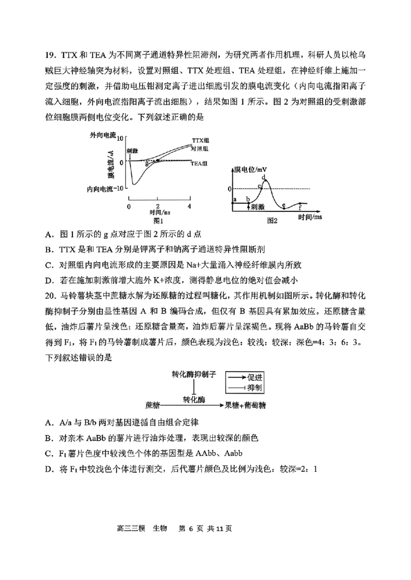 《生物2025-2026哈三中高三三模_2024-2027高三（6-6月题库）_2026年05月高三试卷_2605102026年黑龙江省哈尔滨市第三中学高三下学期第三次模拟（全科）》第6页预览