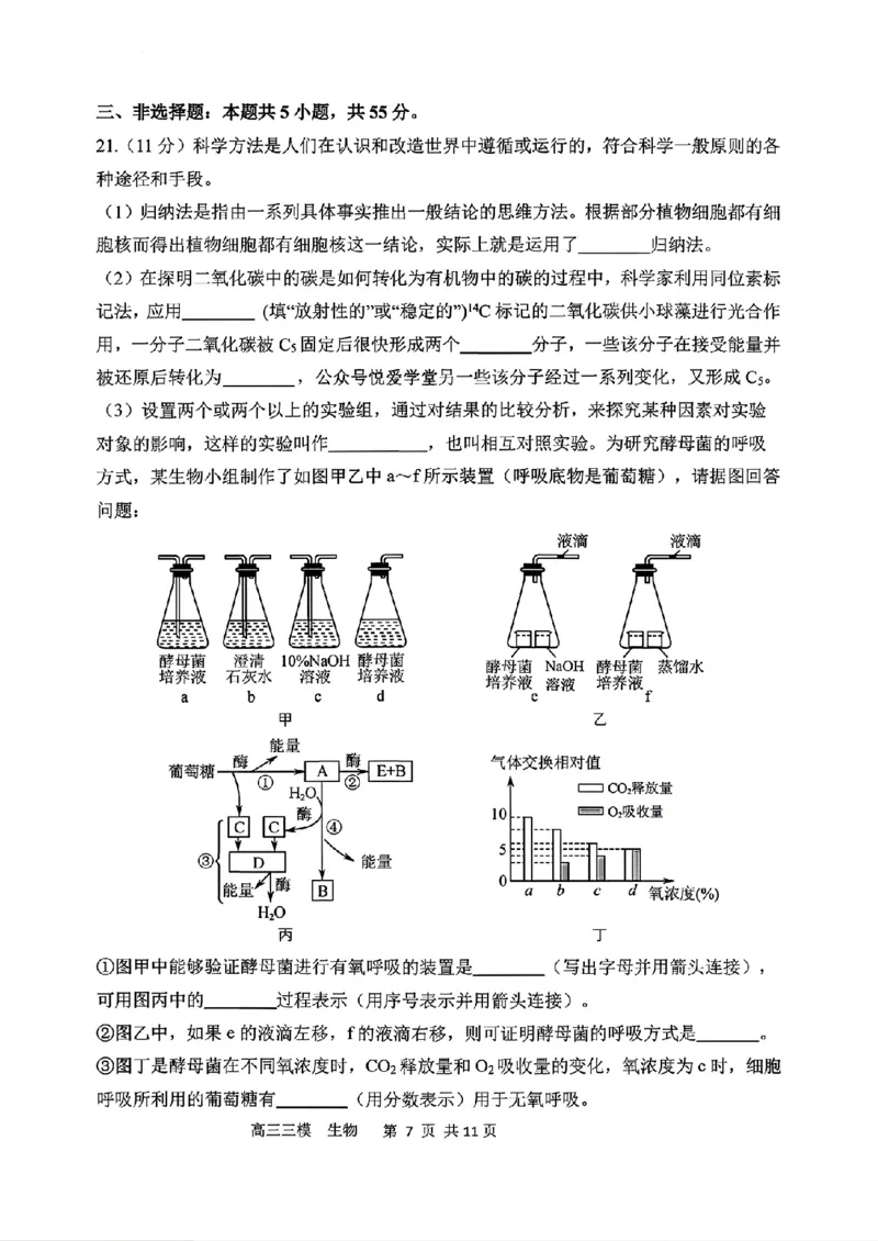 《生物2025-2026哈三中高三三模_2024-2027高三（6-6月题库）_2026年05月高三试卷_2605102026年黑龙江省哈尔滨市第三中学高三下学期第三次模拟（全科）》第7页预览