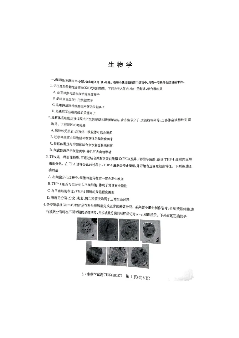 《河南省华大新高考联盟2026届高三下学期5月联考生物试卷（含答案）_2024-2027高三（6-6月题库）_2026年05月高三试卷_260519河南省华大新高考联盟2026届高三下学期5月联考（全科）》第1页预览