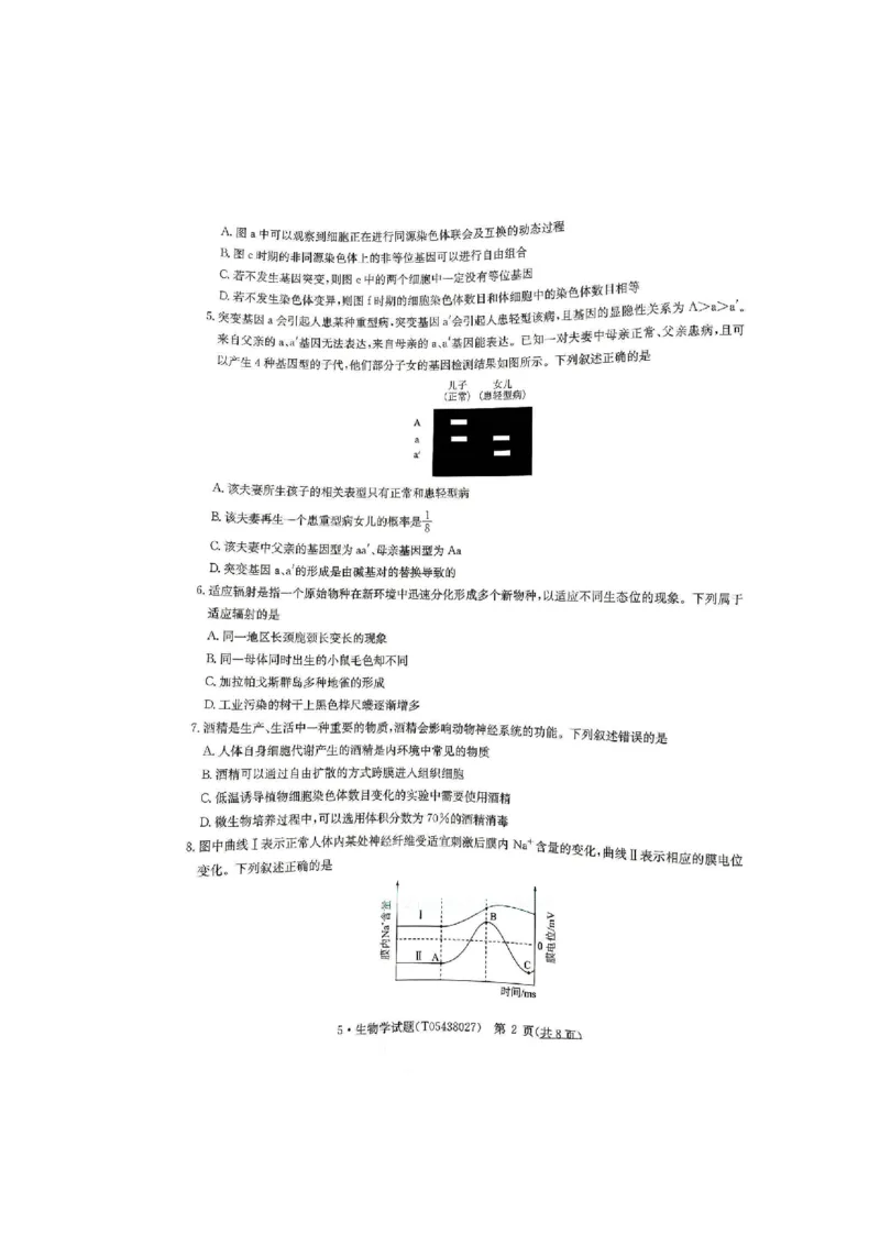 《河南省华大新高考联盟2026届高三下学期5月联考生物试卷（含答案）_2024-2027高三（6-6月题库）_2026年05月高三试卷_260519河南省华大新高考联盟2026届高三下学期5月联考（全科）》第2页预览