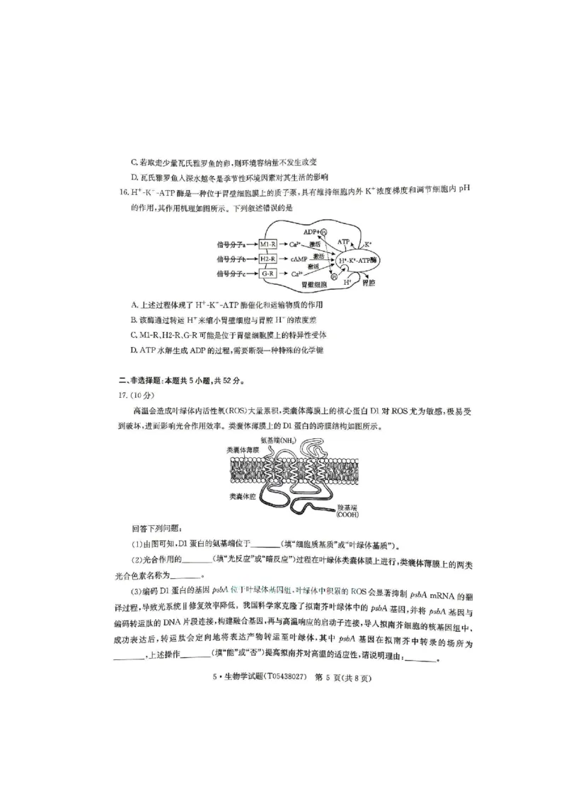 《河南省华大新高考联盟2026届高三下学期5月联考生物试卷（含答案）_2024-2027高三（6-6月题库）_2026年05月高三试卷_260519河南省华大新高考联盟2026届高三下学期5月联考（全科）》第5页预览