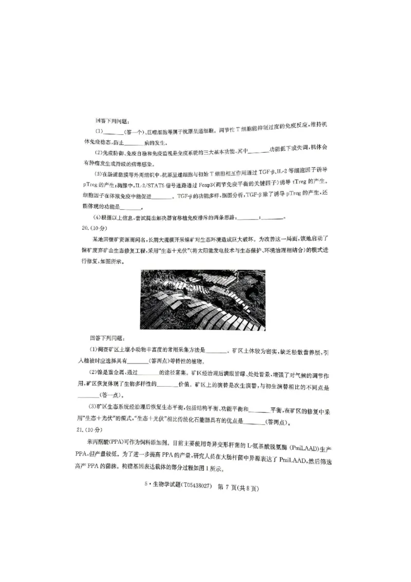 《河南省华大新高考联盟2026届高三下学期5月联考生物试卷（含答案）_2024-2027高三（6-6月题库）_2026年05月高三试卷_260519河南省华大新高考联盟2026届高三下学期5月联考（全科）》第7页预览