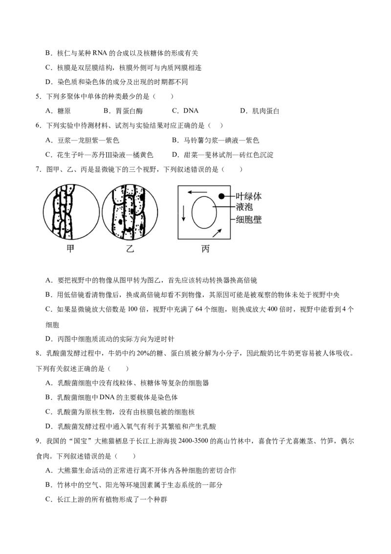 《山西省阳泉市第一中学校2025-2026学年高一上学期11月期中考试生物Word版含答案_2026年高一《月考+期中考+阶段性检测真题合集》全国各省全科无水印》第2页预览