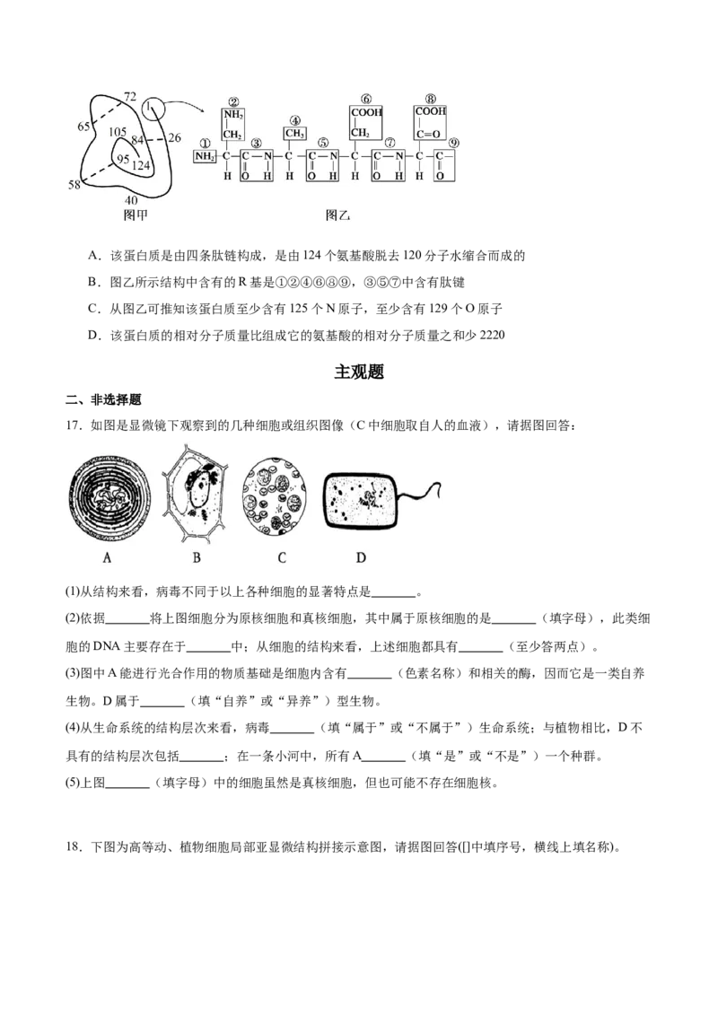 《山西省阳泉市第一中学校2025-2026学年高一上学期11月期中考试生物Word版含答案_2026年高一《月考+期中考+阶段性检测真题合集》全国各省全科无水印》第5页预览