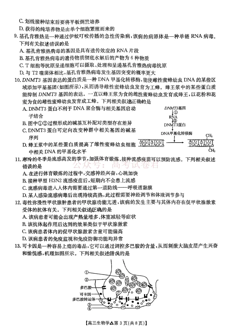 《生物试题卷(26-313C)四川卷四川省金太阳2026届高三年级3月全国百万联考(26-313C)（3.13-3.14）_12.2026年4月全国各地高考模拟卷》第3页预览