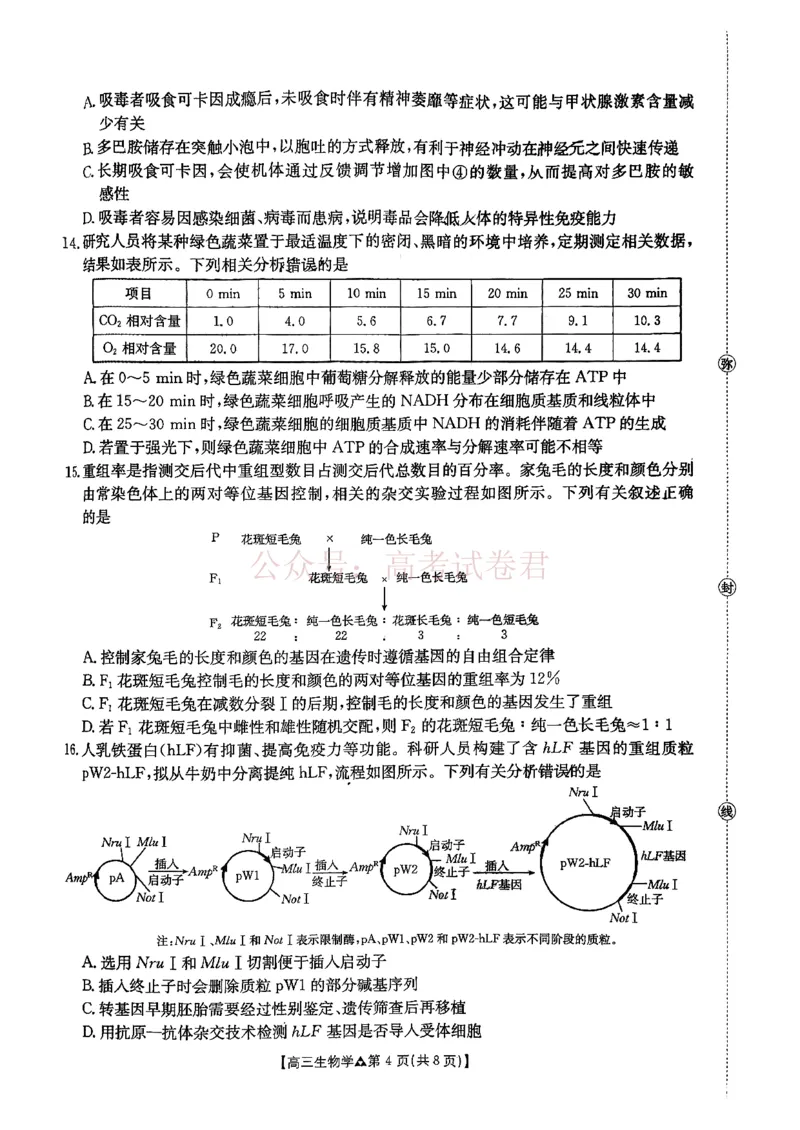 《生物试题卷(26-313C)四川卷四川省金太阳2026届高三年级3月全国百万联考(26-313C)（3.13-3.14）_12.2026年4月全国各地高考模拟卷》第4页预览