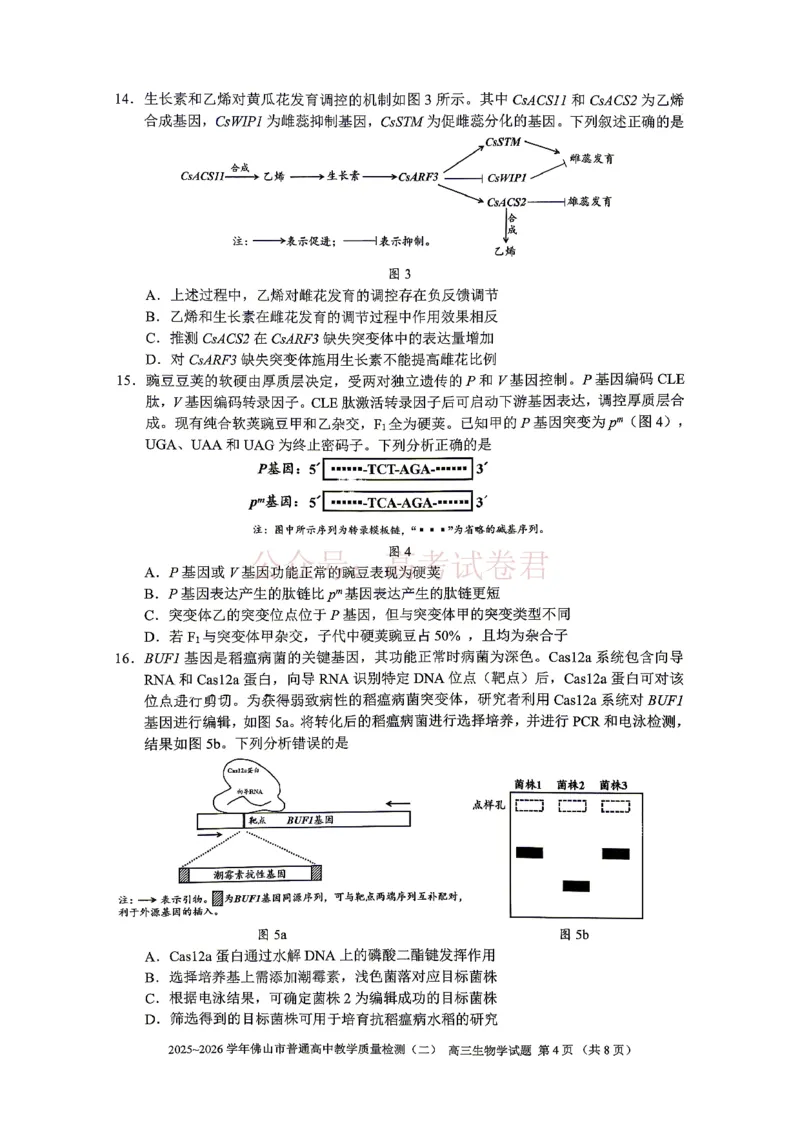 《生物试题卷_副本_12.2026年4月全国各地高考模拟卷_2026年4月_佛山二测2026年广东省佛山市普通高中教学质量检测（二）全科》第4页预览