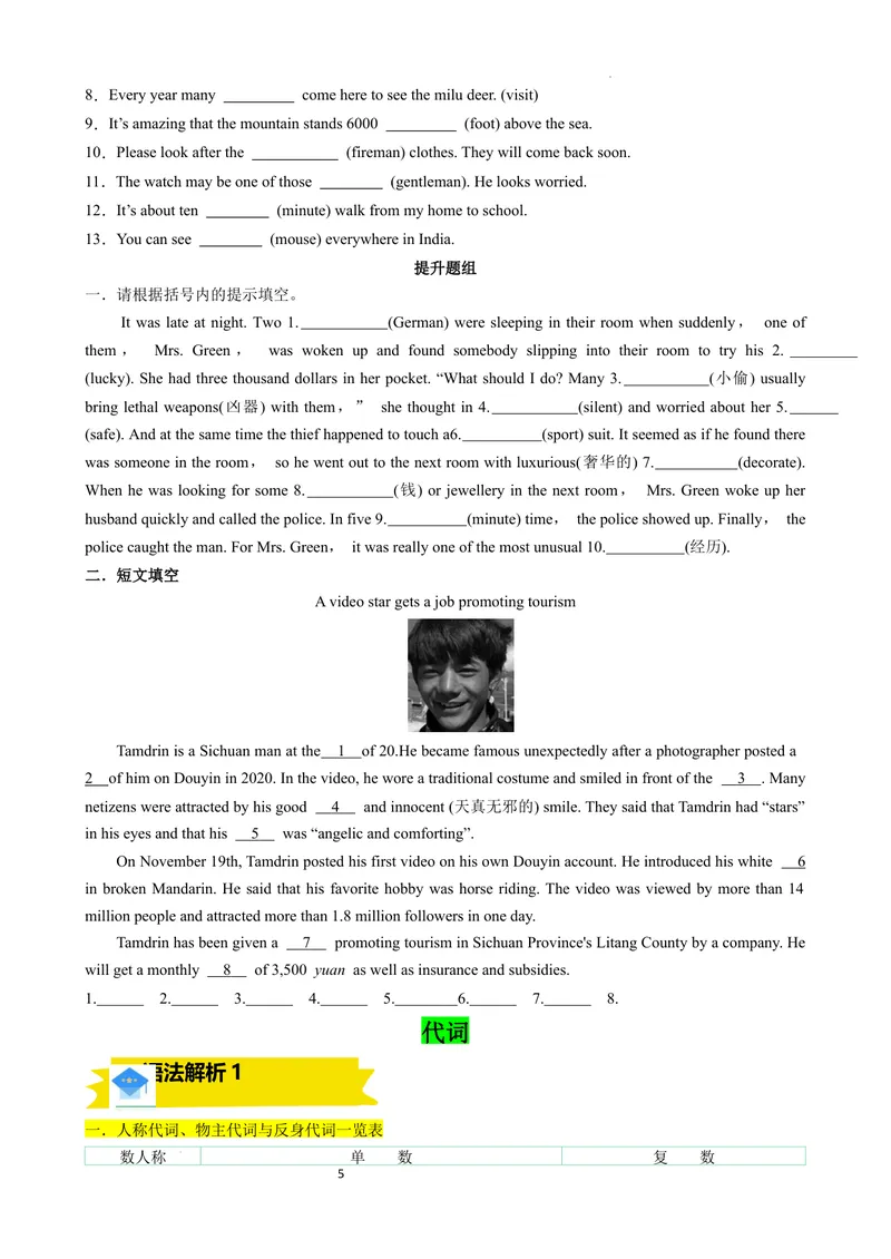 《专题01名词，代词讲练（原卷版）_初中英语789_最新人教版英语八年级上册_新版_最新2025秋人教版英语（八年级上册）_2025秋人教版英语8上：预习资料包_语法复习专题01名词，代词讲练》第5页预览