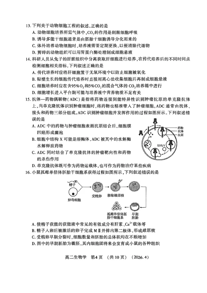 《河南省洛阳市2025-2026学年第二学期期中考试高二生物试卷_2024-2027高二（7-7月题库）_2026年05月高二试卷_260508河南省洛阳市2025-2026学年高二下学期期中（全）》第4页预览