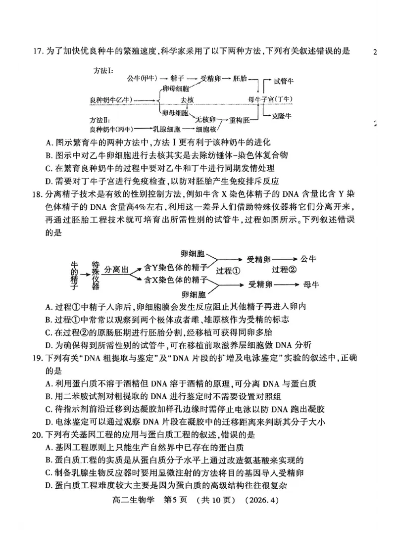 《河南省洛阳市2025-2026学年第二学期期中考试高二生物试卷_2024-2027高二（7-7月题库）_2026年05月高二试卷_260508河南省洛阳市2025-2026学年高二下学期期中（全）》第5页预览