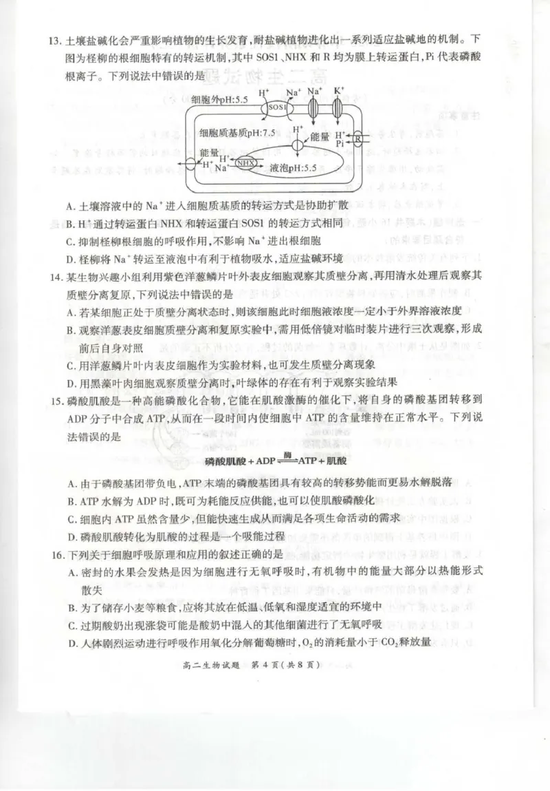 《河南省南阳市六校2025-2026学年高二下学期6月阶段检测生物试卷(扫描版含解析)_2024-2027高二(7-7月题库)_2026年06月高二试卷_260610河南省南阳市六校2025-2026学年高二下学期6月阶段检测》第4页预览