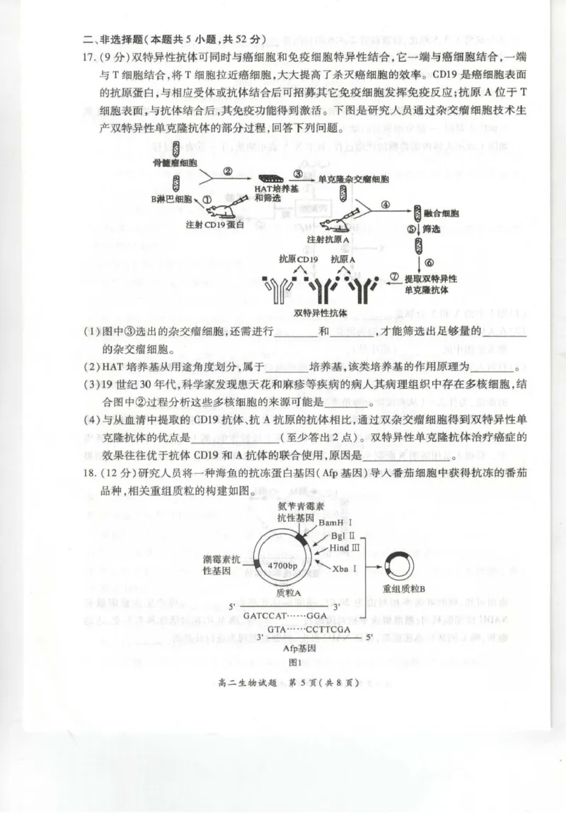 《河南省南阳市六校2025-2026学年高二下学期6月阶段检测生物试卷(扫描版含解析)_2024-2027高二(7-7月题库)_2026年06月高二试卷_260610河南省南阳市六校2025-2026学年高二下学期6月阶段检测》第5页预览
