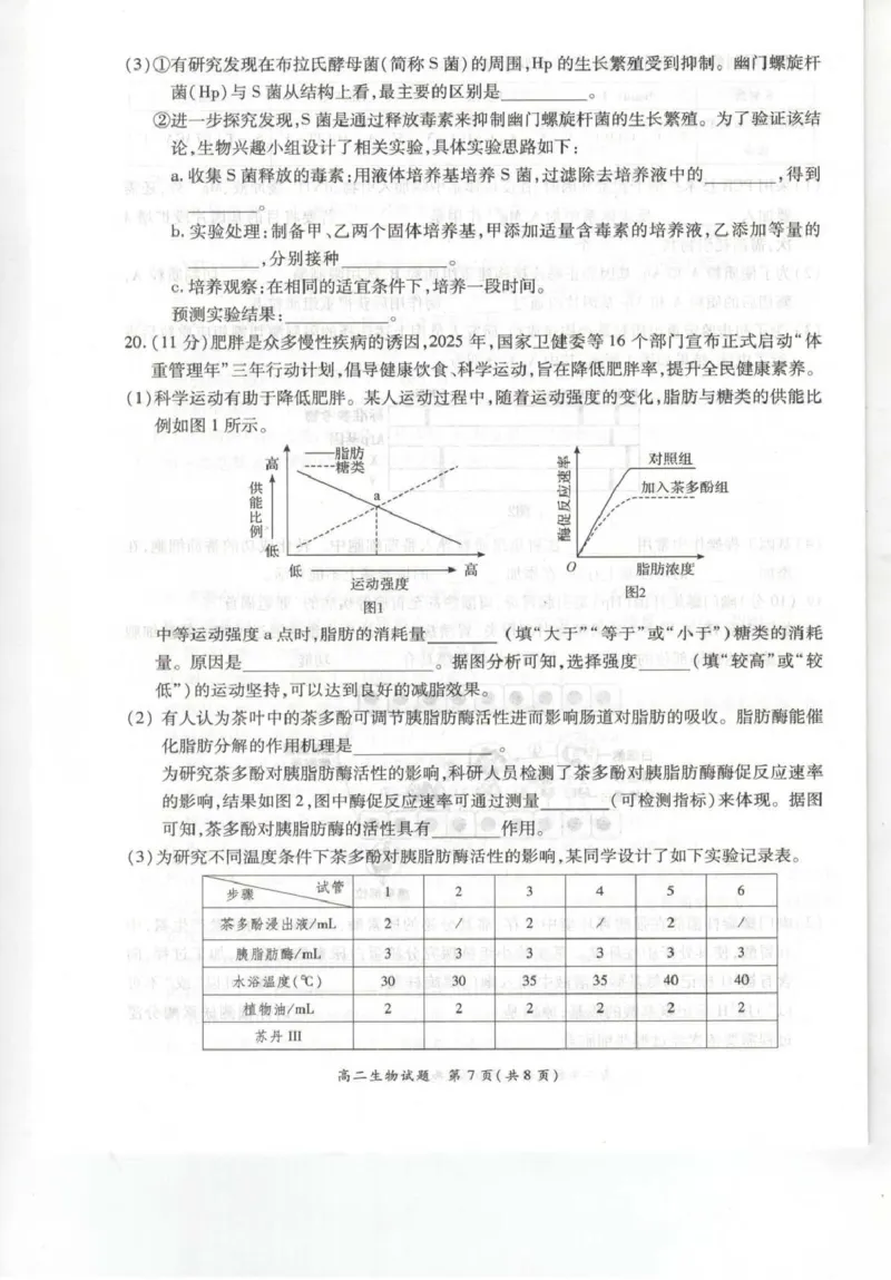 《河南省南阳市六校2025-2026学年高二下学期6月阶段检测生物试卷(扫描版含解析)_2024-2027高二(7-7月题库)_2026年06月高二试卷_260610河南省南阳市六校2025-2026学年高二下学期6月阶段检测》第7页预览