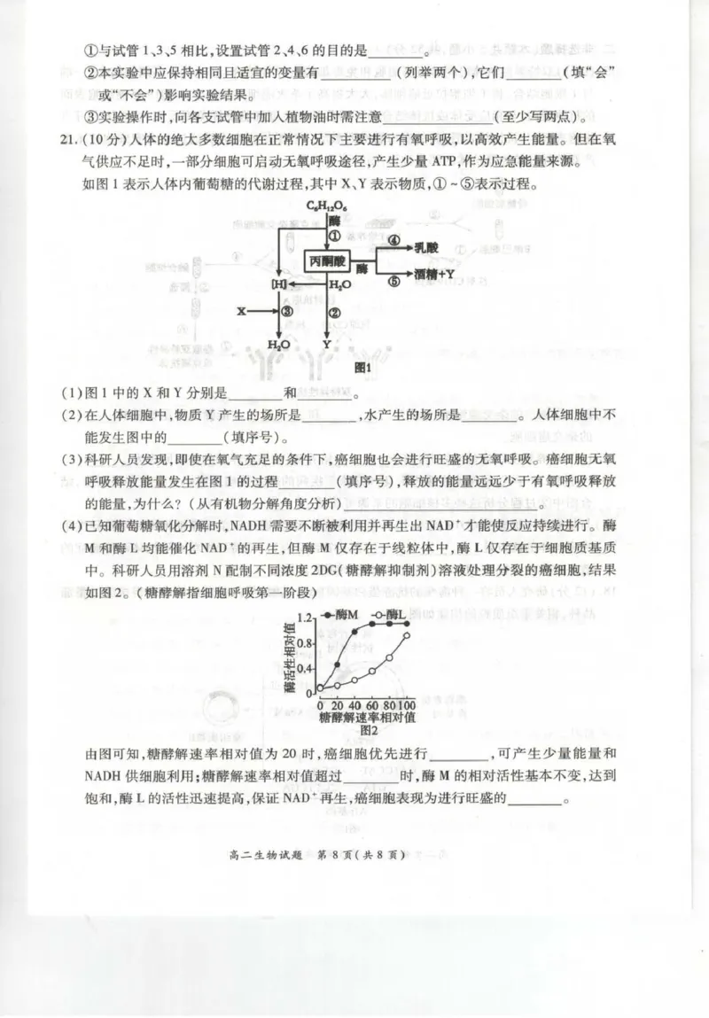 《河南省南阳市六校2025-2026学年高二下学期6月阶段检测生物试卷(扫描版含解析)_2024-2027高二(7-7月题库)_2026年06月高二试卷_260610河南省南阳市六校2025-2026学年高二下学期6月阶段检测》第8页预览