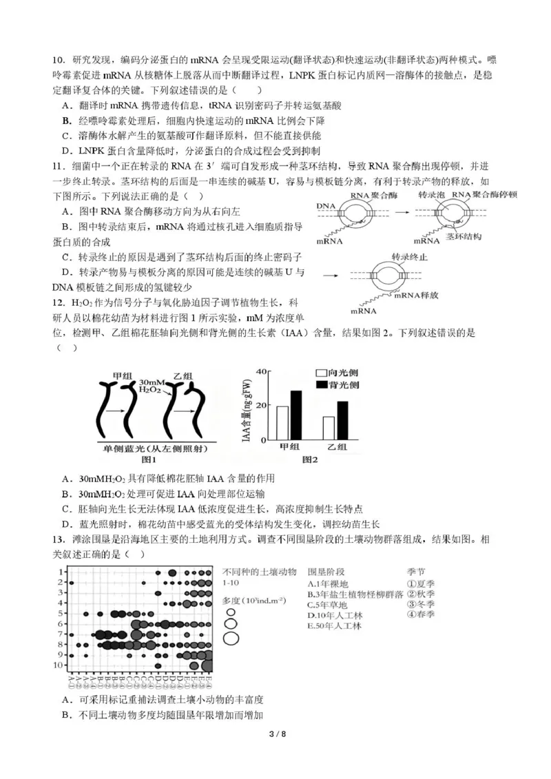 《生物试卷厦门双十中学热身考生物试卷_2024-2027高三（6-6月题库）_2026年06月高三试卷_260602福建厦门双十中学2026届高中毕业班高三年级适应性练习暨热身考》第3页预览