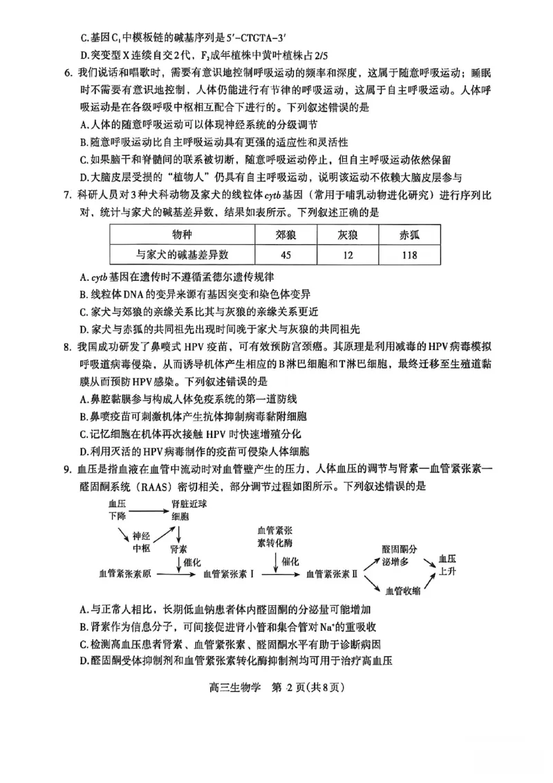 《河南省洛阳市2025-2026学年5月高三第四次质量检测生物_2024-2027高三(6-6月题库)_2026年05月高三试卷_260509河南四市2025-2026学年高三5月质量检测(许济平洛四模)(全科)_生物试题及答案》第2页预览