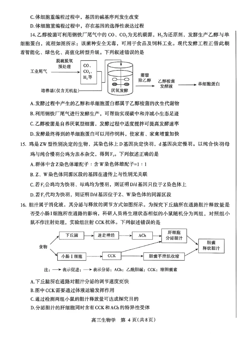 《河南省洛阳市2025-2026学年5月高三第四次质量检测生物_2024-2027高三(6-6月题库)_2026年05月高三试卷_260509河南四市2025-2026学年高三5月质量检测(许济平洛四模)(全科)_生物试题及答案》第4页预览