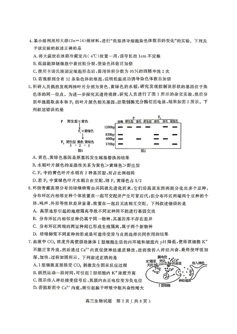 《生物试题卷_2024-2027高三（6-6月题库）_2026年05月高三试卷_260523山东省济宁市全市高考模拟考试（济宁三模）（全科）》第2页预览