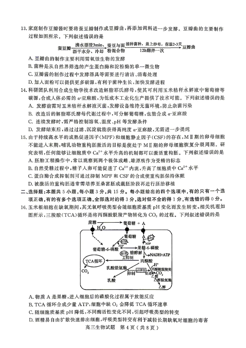 《生物试题卷_2024-2027高三（6-6月题库）_2026年05月高三试卷_260523山东省济宁市全市高考模拟考试（济宁三模）（全科）》第4页预览