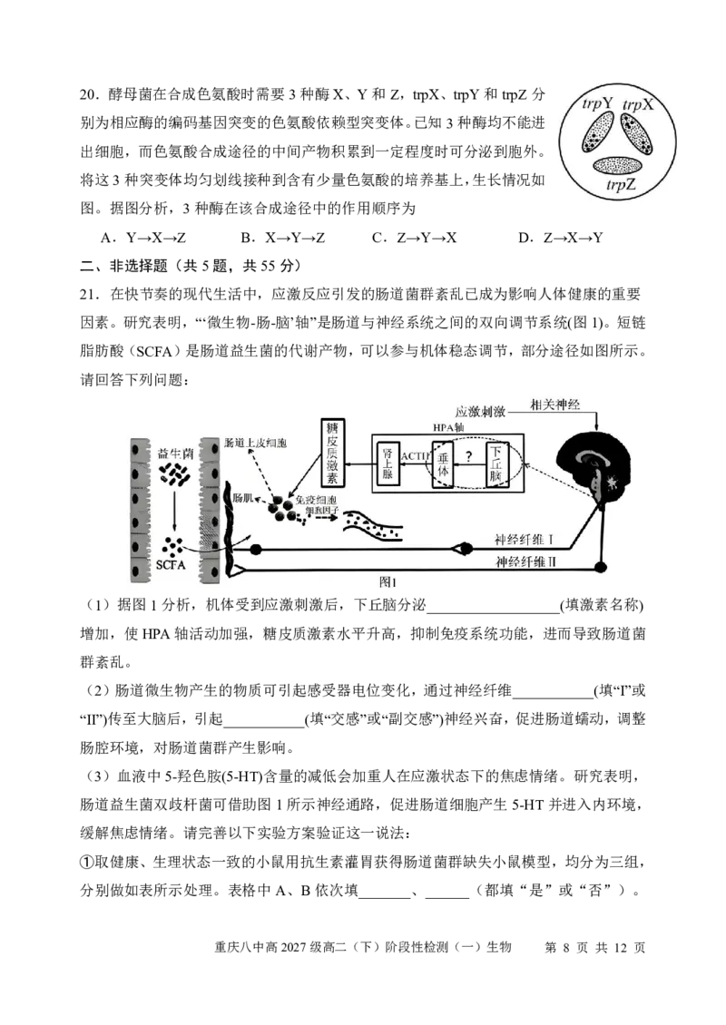 《生物-重庆市重庆八中2027级高二下阶段性检测（一）暨4月月考_2024-2027高二（7-7月题库）_2026年04月高二试卷_260408重庆市重庆八中2027级高二下阶段性检测（一）暨4月月考》第8页预览