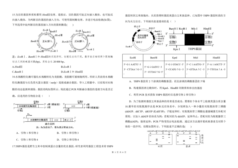 《湖北省黄冈市黄梅县第一中学2025-2026学年高二下学期5月月考生物试题（扫描版，含答案）_2024-2027高二（7-7月题库）_2026年06月高二试卷》第3页预览