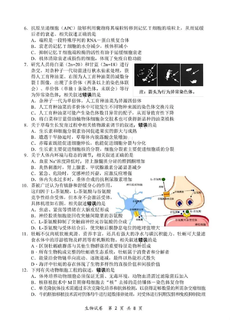 《生物-江苏省2026届高三新高考基地第二次大联考_2024-2027高三（6-6月题库）_2026年05月高三试卷_260503江苏省2026届高三新高考基地第二次大联考》第2页预览