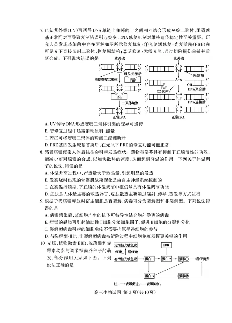 《泰安市2026年5月高三三轮检测生物_2024-2027高三（6-6月题库）_2026年05月高三试卷_260515山东省泰安市2026年5月高三三轮检测（泰安三模）（全科）》第3页预览