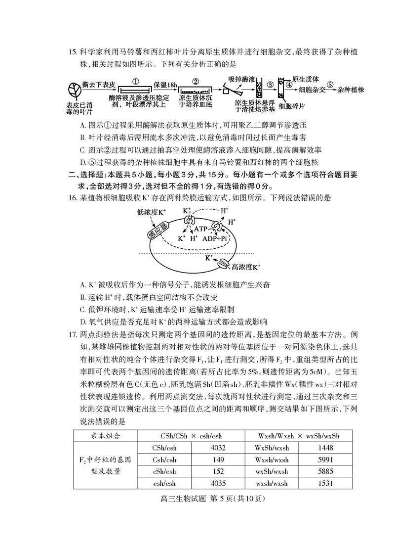 《泰安市2026年5月高三三轮检测生物_2024-2027高三（6-6月题库）_2026年05月高三试卷_260515山东省泰安市2026年5月高三三轮检测（泰安三模）（全科）》第5页预览