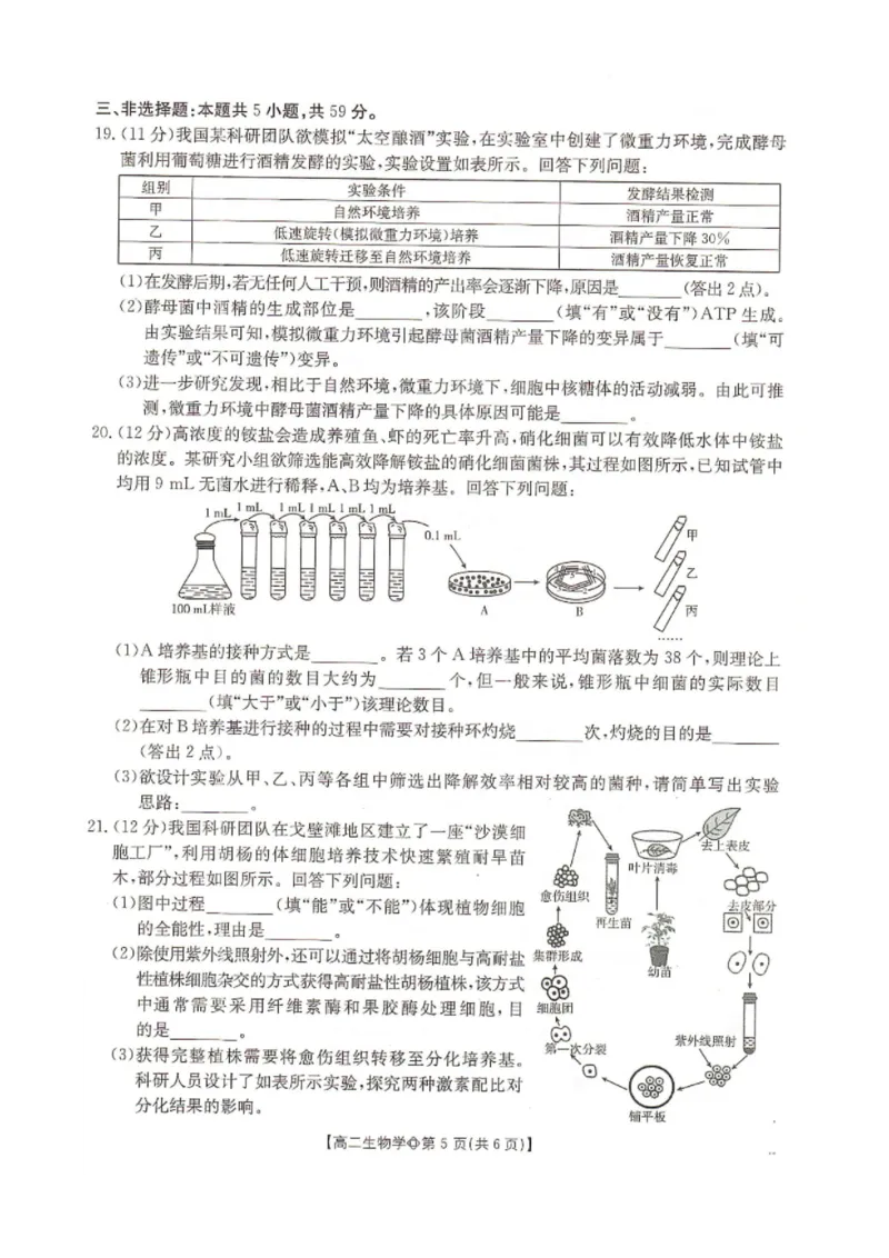 《生物-河北省金太阳2025-2026学年下学期高二年级4月月考(26-315B)_2024-2027高二(7-7月题库)_2026年04月高二试卷_260417河北省金太阳2025-2026学年下学期高二年级4月月考(26-315B)》第5页预览