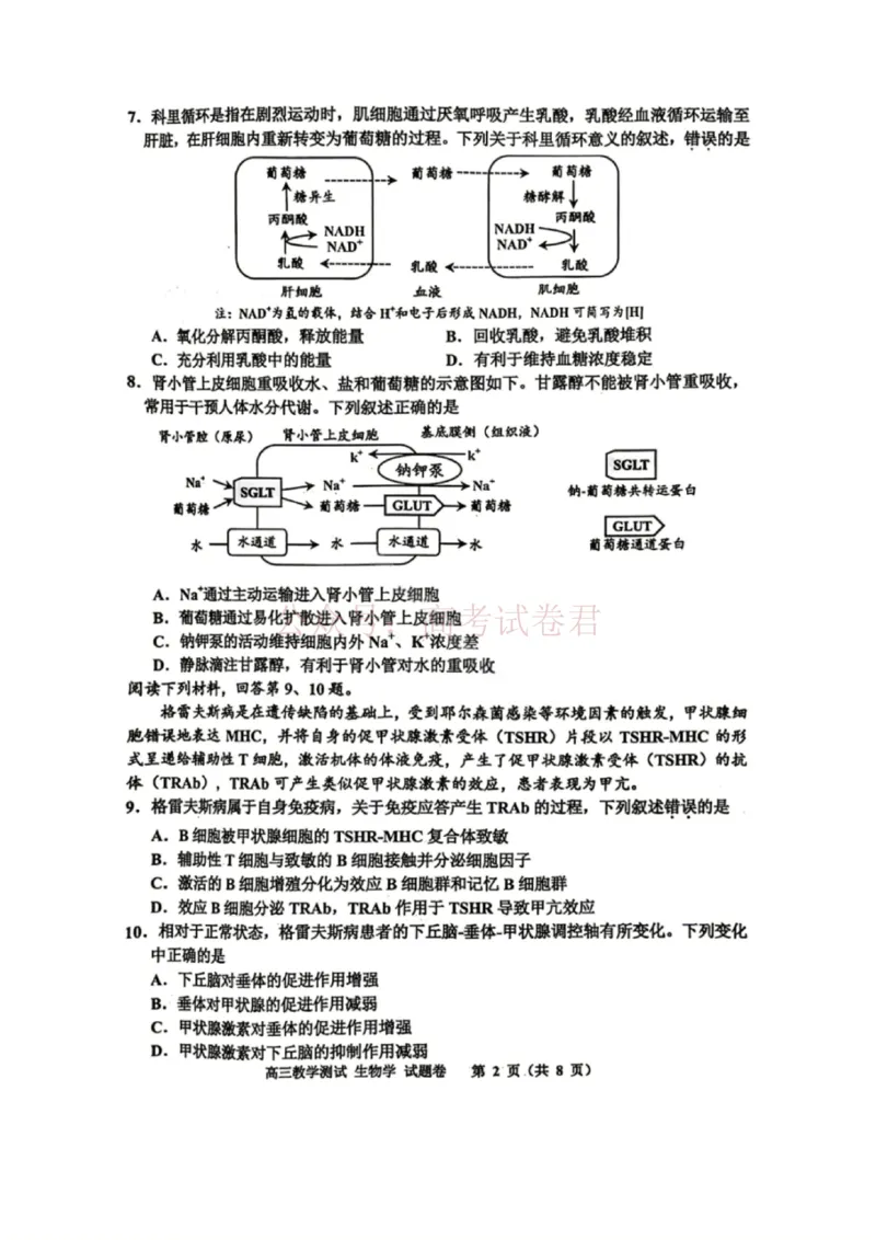 《浙江省嘉兴市2025-2026学年高三下学期二模生物_12.2026年4月全国各地高考模拟卷_2026年4月_2026届浙江省嘉兴市高三下学期二模全科_06生物_浙江省嘉兴市高三下学期二模》第2页预览