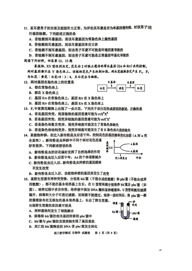 《浙江省嘉兴市2025-2026学年高三下学期二模生物_12.2026年4月全国各地高考模拟卷_2026年4月_2026届浙江省嘉兴市高三下学期二模全科_06生物_浙江省嘉兴市高三下学期二模》第3页预览