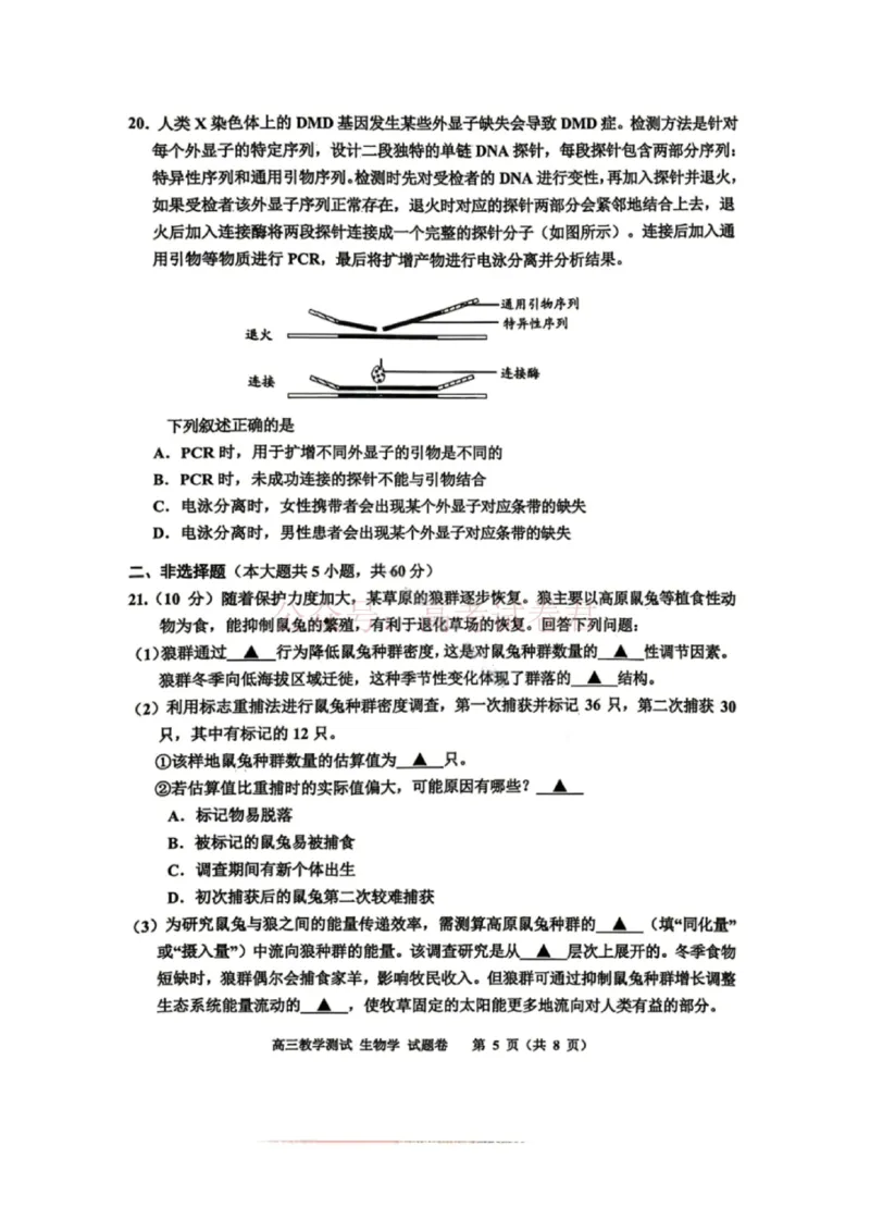 《浙江省嘉兴市2025-2026学年高三下学期二模生物_12.2026年4月全国各地高考模拟卷_2026年4月_2026届浙江省嘉兴市高三下学期二模全科_06生物_浙江省嘉兴市高三下学期二模》第5页预览